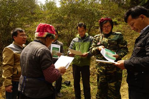 广西林科院油茶研究所在凤山县开展科技服务广西林科院