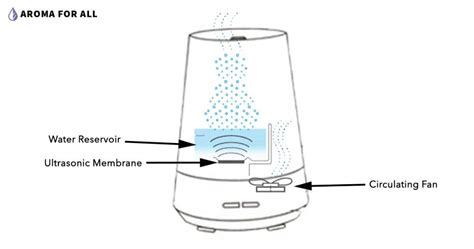 How Exactly Does A Diffuser Work Understanding Oil Diffusers