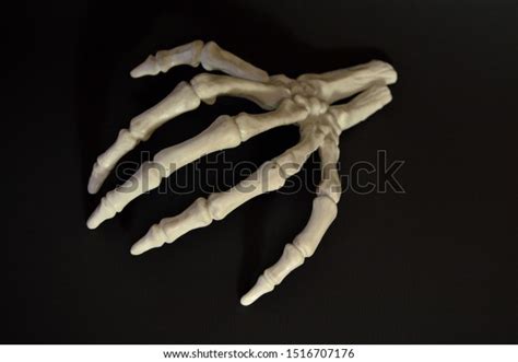 Spooky Halloween Severed Skeletal Hand Reaching Stock Photo Edit Now