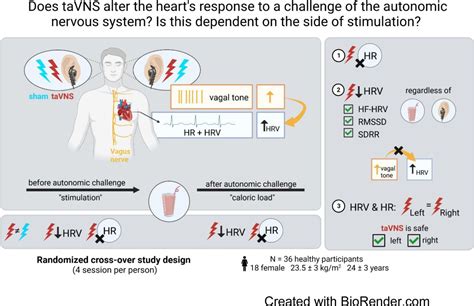 Non Invasive Vagus Nerve Stimulation Decreases Vagally Mediated Heart