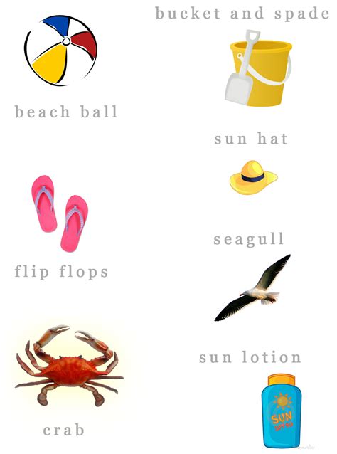 Illustrated Beach Vocabulary - learn English,vocabulary,english