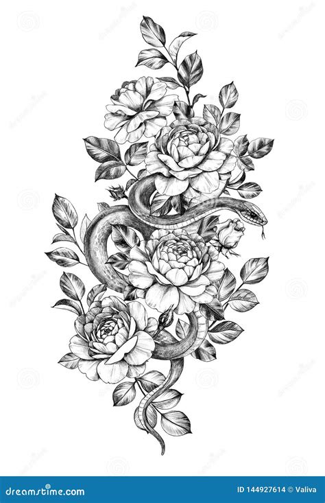 Hand Drawn Monochrome Snake Among Roses Stock Illustration