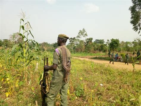 Beni le bilan des ADF abattus par les FARDC à Apetinasa passe de 17 à