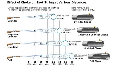 20 Gauge Shotgun Choke Patterns