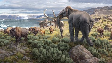 Yakima Valley Museum | Ice Age Floods Mural — Blue Rhino Studio