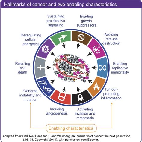 Nutrition And Cancer Prevention And Survival British Journal Of Nutrition Cambridge Core