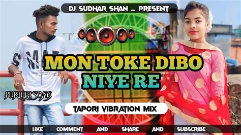 Mon Toke Dibo Nai Re New Purulia Dj Song 2024 Tapori Vibration Mix