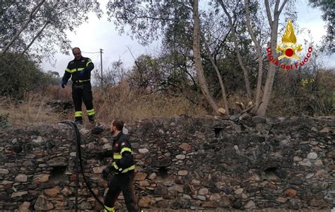 Incendio A Messina Carbonizzato Un Ettaro Di Terreno Foto