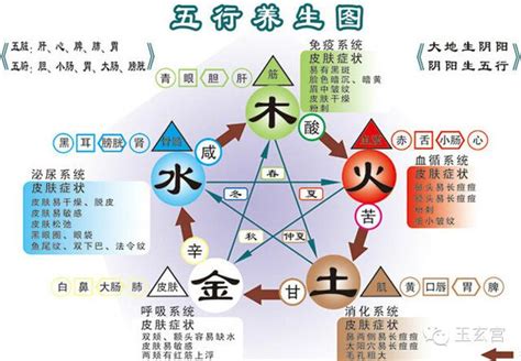 五色、五味、五臟、五官與五行關係 每日頭條