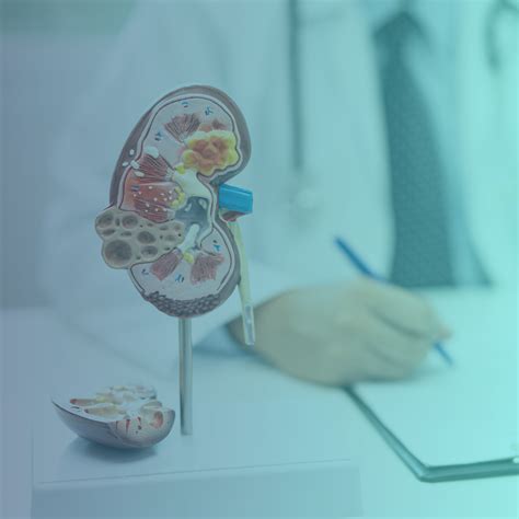 Quanto Ganha Um Perfusionista