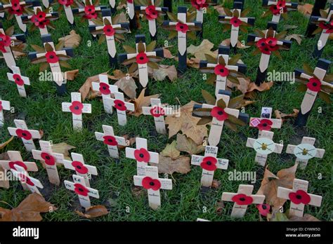 Poppies at Westminster Abbey during Remembrance Day in London. 11.11. ...