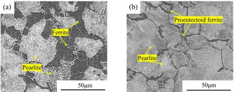 Microstructures Of Samples Before And After Pretreatment A Initial