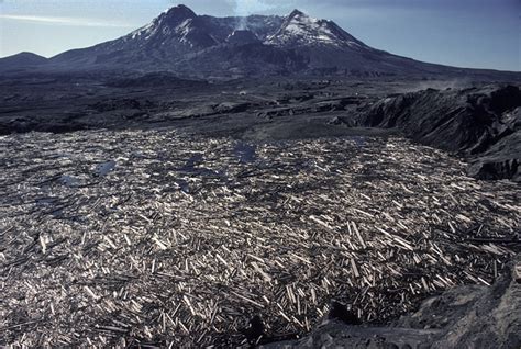 Spirit Lake Transformed | Mount St. Helens Science and Learning Center