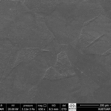 SEM Micrograph Showing Deformation Induced Martensite Formation In