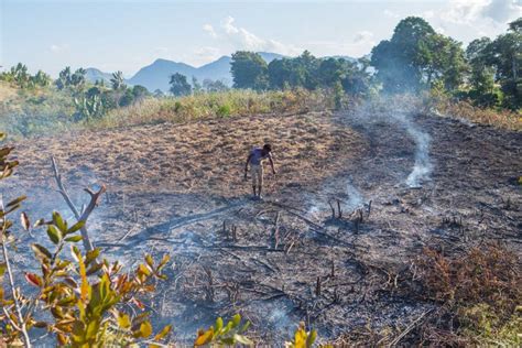 Toxic Blaze The True Cost Of Crop Burning Modern Diplomacy