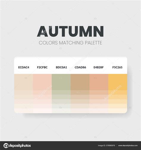 Une Palette Couleurs D Automne Des Sch Mas Couleurs Sont Des