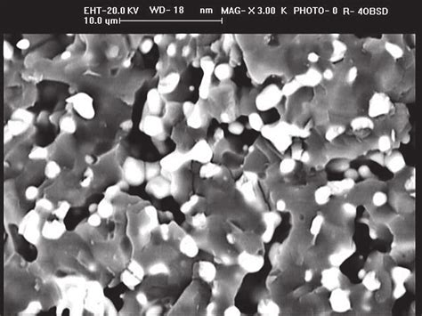 Sem Photomicrograph Of Fired Mullite Zirconia Composite Prepared With