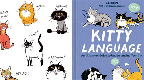 Adorably Illustrated Book Helps Decode Cat Body Language