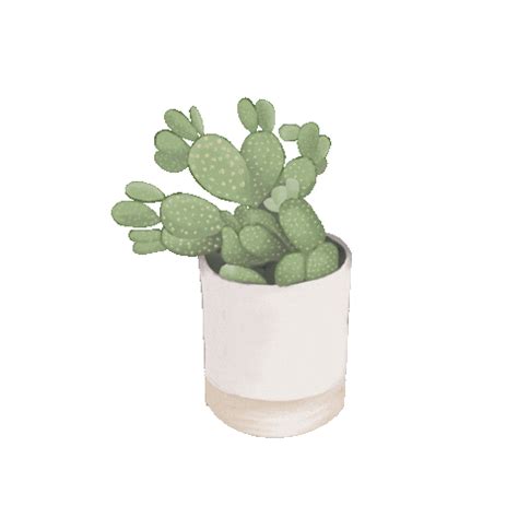 Plant Cactus Sticker For IOS Android GIPHY