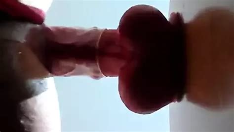 Apo Katw Free Shemale Dildo Anal Toy Porn Video Ec Xhamster