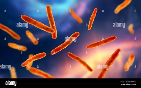 Mycobacterium bovis bacteria, illustration Stock Photo - Alamy