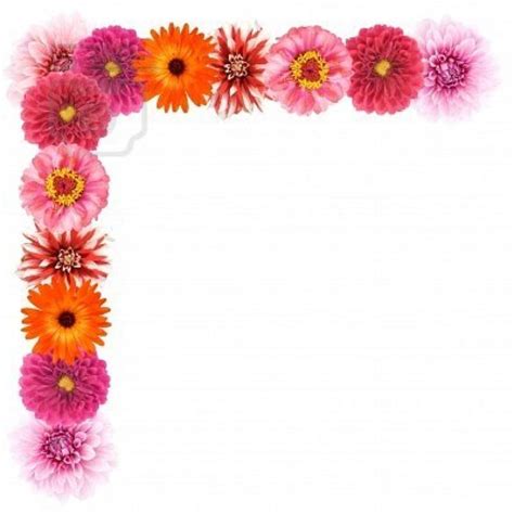 Free Flower Border Clip Art Pictures Clipartix