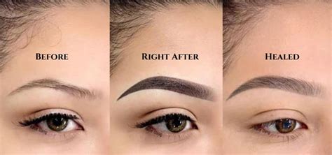 Ombre Powder Brows Before After Care