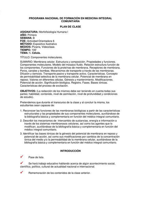 Morfo 1Componentes MolecularesAO6 Ysaac Garcia UDocz