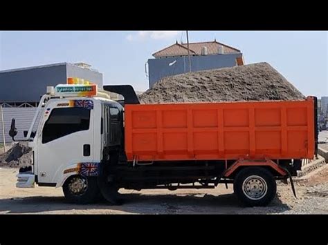 Dump Truk Mobil Truk Isuzu Nmr 71 Bongkar Muatan Pasir Super Full