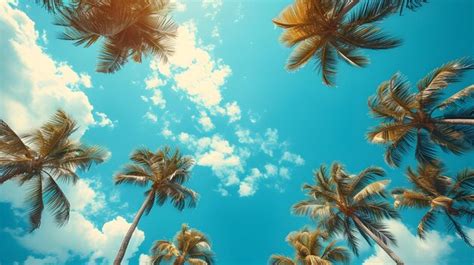 Premium Photo Happy Summer Background With Beautiful Coconut Palm