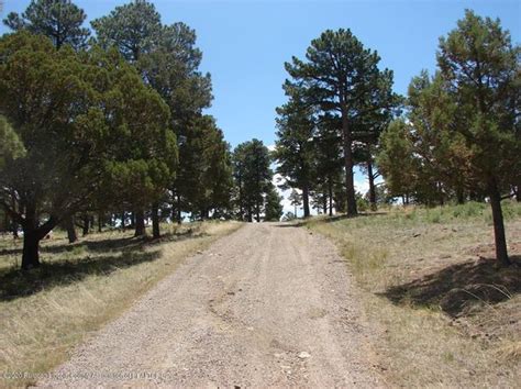 Alto Real Estate - Alto NM Homes For Sale | Zillow