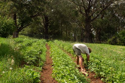 Our Farm | Harvest Farms