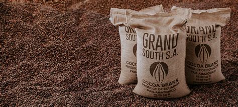 Grandsur Productos Granos De Cacao Sostenible