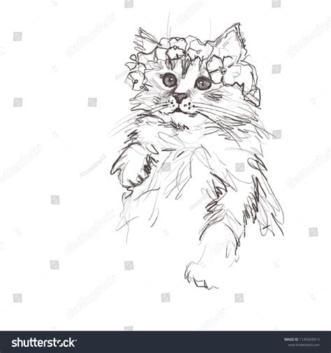 Fluffy Cat Graphics Line Drawing Sketches Stock Illustration 1145929913