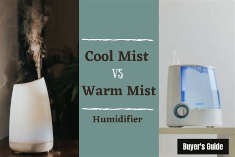 Cool Mist vs Warm Mist Humidifier - Which is Better | Buyer's Guide