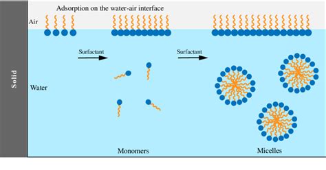 Schematic Diagram Of Micelle Formation Adapted From Zana