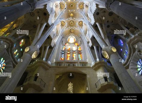 Ceiling Of Basilica Sagrada Familia Barcelona Spain Stock Photo Alamy