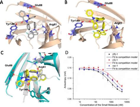 Binding mode and inhibitory activity of the novel KRas PDEδ inhibitor