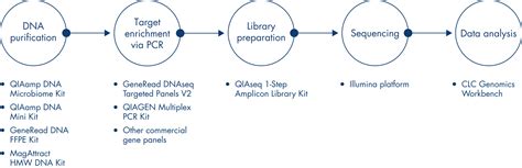 QIAseq 1 Step Amplicon Library Kit