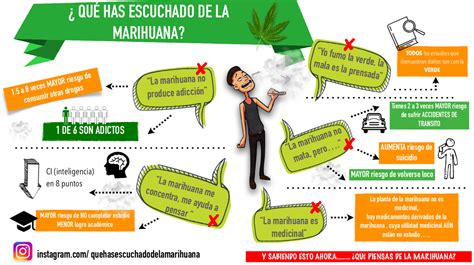 Mitos Y Verdades De La Marihuana Qu Has Escuchado De Ella Ser Joven