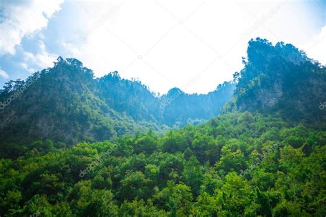 Viejo gran puente en Durdevica y vista fantástica garganta del río Tara