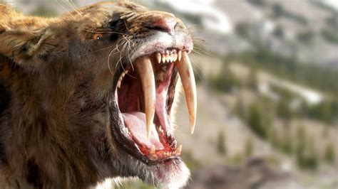 Saber Tooth Tiger Ice Age Voice