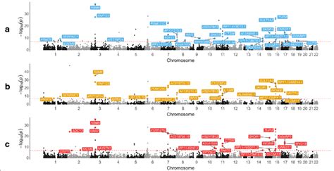 Manhattan Plots Illustrating Associations With Body Mass Index Bmi