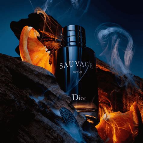 The 15 Best Long Lasting Perfumes For Men In 2025 Opumo Magazine