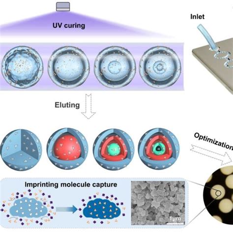 Schematic Illustration Of The Fabrication Processes Of The Nanoporous