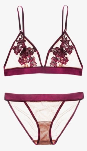 Tshirt Bra Azalea Bikini Set Seta Azaleabikini Bra Free