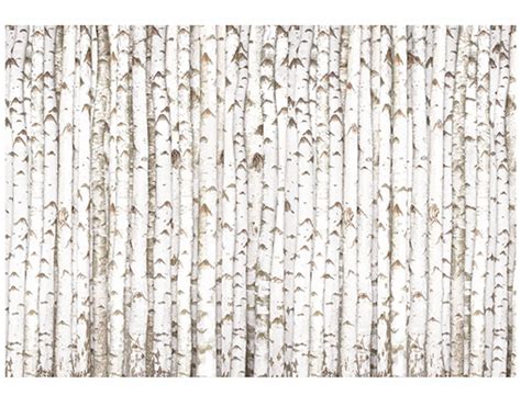 40 Birch Wood Wallpapers WallpaperSafari