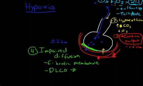 Hypoxia Types, Causes, Treatment, Hypoxia vs Hypoxemia