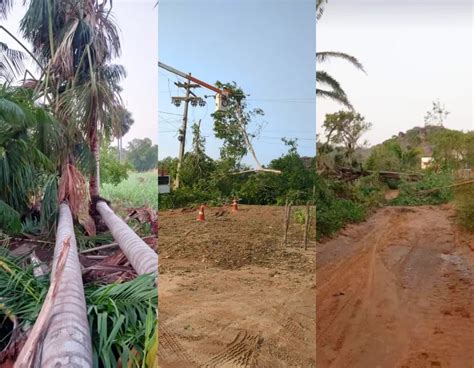 Temporal Derruba Rvores E Telhados E Assusta Moradores No Interior Do