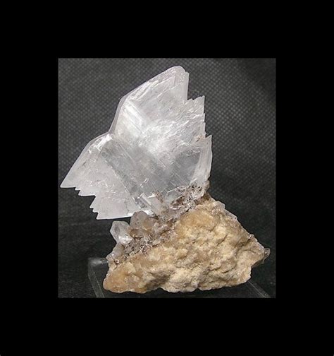 Selenite Gypsum Large Fishtail Swallowtail Twin Crystal Etsy